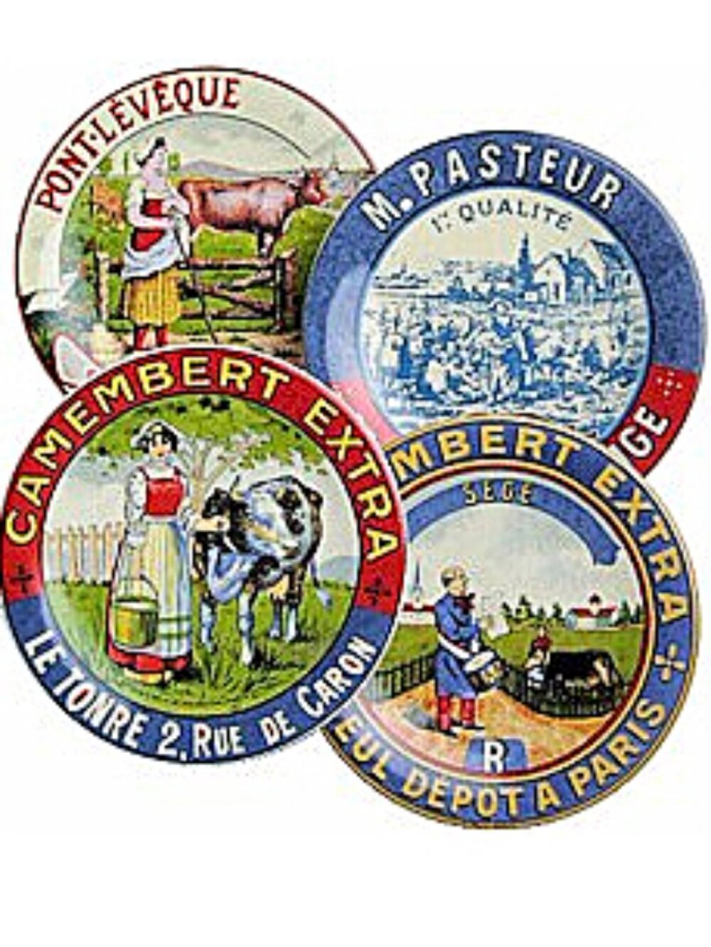 Vintage Mikasa Fromage Coasters